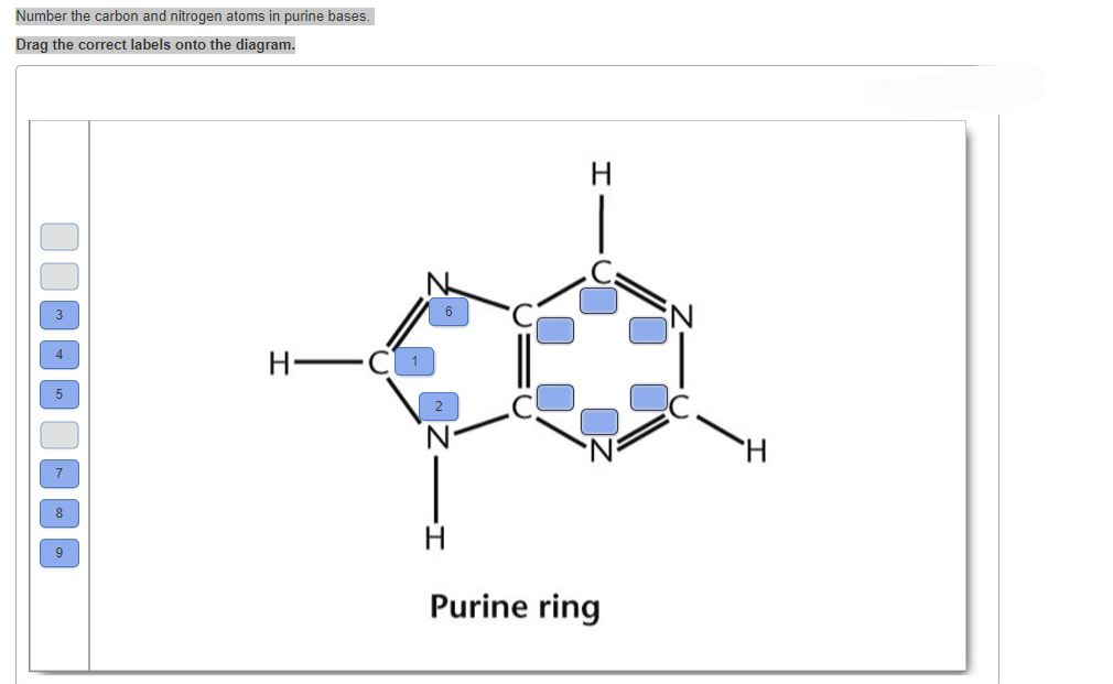 Number the carbon and nitrogen atoms in purine bases.
Drag the correct labels onto the diagram.
3
4
5
7
DO
8
9
H-
H
H
Purine ring
