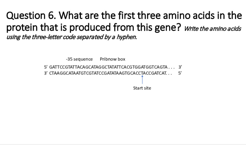Question 6. What are the first three amino acids in the
protein that is produced from this gene? Write the amino acids
using the three-letter code separated by a hyphen.
-35 sequence Pribnow box
3'
5' GATTCCGTATTACAGCATAGGCTATATT CACGTGGATGGTCAGTA...
3' CTAAGGCATA ATGTCGTATCCGATATAAGTGCACCTA CCGATCAT... 5'
Start site