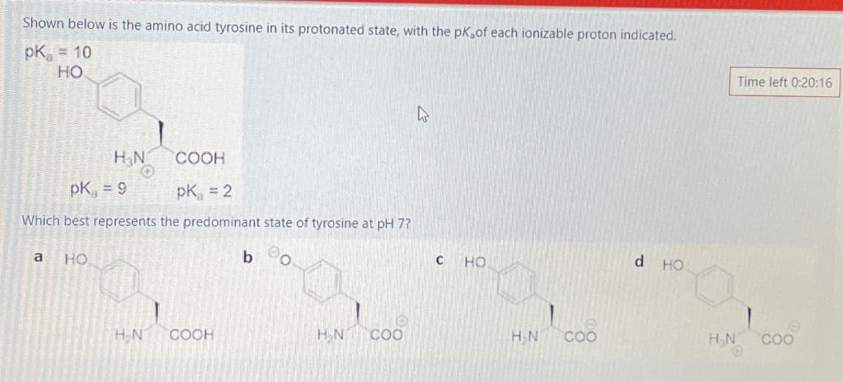 Shown below is the amino acid tyrosine in its protonated state, with the pK of each ionizable proton indicated.
pK = 10
HO
H₂N
pK = 9
COOH
pK = 2
Which best represents the predominant state of tyrosine at pH 7?
a
HO
b
B
C
HO
d HO
Time left 0:20:16
H.N
COOH
HN
COO
HN
COO
HN
COO