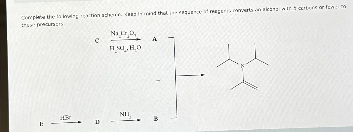 Complete the following reaction scheme. Keep in mind that the sequence of reagents converts an alcohol with 5 carbons or fewer to
these precursors.
Na, Cr,O,
C
A
H.SO. H₂O
HBr
NH,
B
E
D
N
+