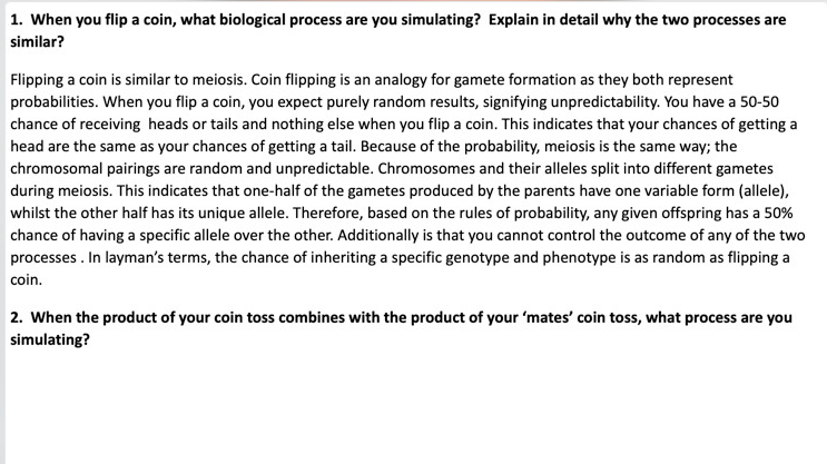 1. When you flip a coin, what biological process are you simulating? Explain in detail why the two processes are
similar?
Flipping a coin is similar to meiosis. Coin flipping is an analogy for gamete formation as they both represent
probabilities. When you flip a coin, you expect purely random results, signifying unpredictability. You have a 50-50
chance of receiving heads or tails and nothing else when you flip a coin. This indicates that your chances of getting a
head are the same as your chances of getting a tail. Because of the probability, meiosis is the same way; the
chromosomal pairings are random and unpredictable. Chromosomes and their alleles split into different gametes
during meiosis. This indicates that one-half of the gametes produced by the parents have one variable form (allele),
whilst the other half has its unique allele. Therefore, based on the rules of probability, any given offspring has a 50%
chance of having a specific allele over the other. Additionally is that you cannot control the outcome of any of the two
processes . In layman's terms, the chance of inheriting a specific genotype and phenotype is as random as flipping a
coin.
2. When the product of your coin toss combines with the product of your 'mates' coin toss, what process are you
simulating?

