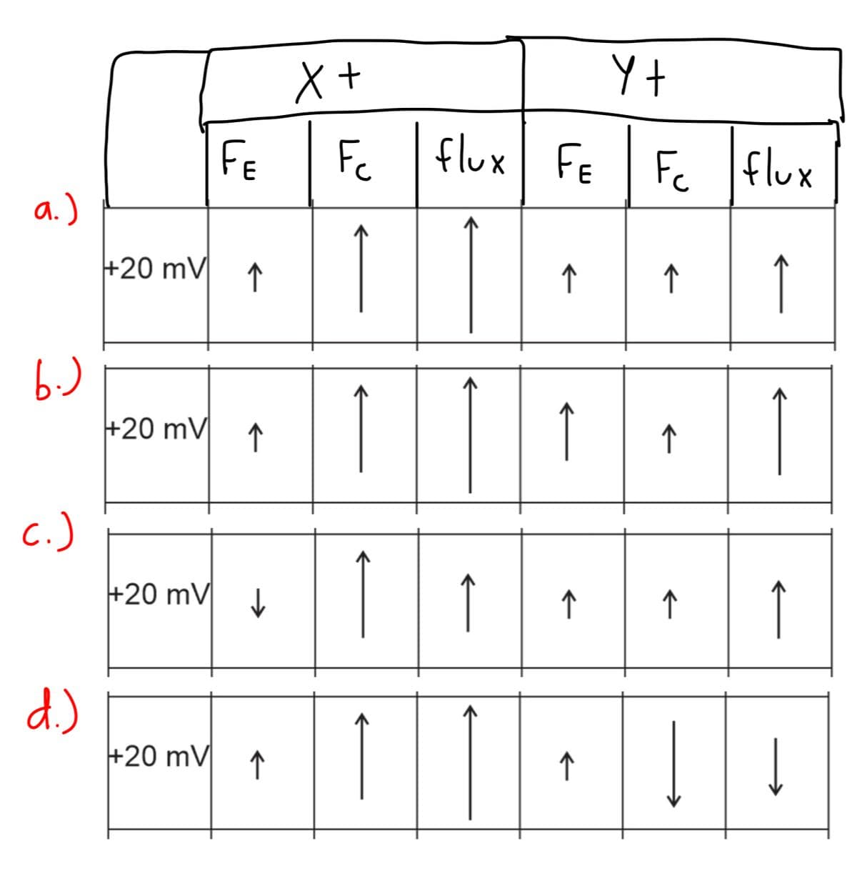 a.)
b.)
c.)
d.)
+20 mV
+20 mV
FE
+20 mV
↑
↑
+20 mV↓↓
↑
X+
Fc
Î
Î
↑
↑
flux FE
↑
↑
↑
↑
Y t
Fc flux
↑
↑
↑
->>
↑
←←
↓
