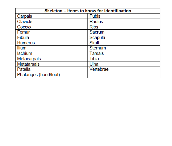 Carpals
Clavicle
Coccyx
Femur
Fibula
Humerus
llium
Ischium
Skeleton - Items to know for Identification
Pubis
Radius
Ribs
Sacrum
Scapula
Skull
Metacarpals
Metatarsals
Patella
Phalanges (hand/foot)
Sternum
Tarsals
Tibia
Ulna
Vertebrae