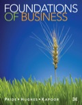EBK FOUNDATIONS OF BUSINESS - 3rd Edition - by Pride - ISBN 8220100449383