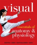 EBK VISUAL ESSENTIALS OF ANATOMY & PHYS - 1st Edition - by Nath - ISBN 8220100577284