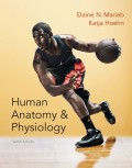 EBK HUMAN ANATOMY & PHYSIOLOGY - 10th Edition - by Hoehn - ISBN 8220100659584