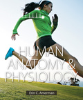 EBK HUMAN ANATOMY & PHYSIOLOGY - 16th Edition - by AMERMAN - ISBN 8220100659836