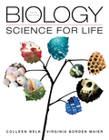 EBK BIOLOGY - 5th Edition - by Maier - ISBN 8220100667978