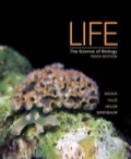EBK LIFE: THE SCIENCE OF BIOLOGY - 10th Edition - by Sadava - ISBN 8220101444554
