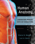 EBK HUMAN ANATOMY LABORATORY MANUAL WIT - 8th Edition - by SMITH - ISBN 8220101460028