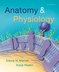 EBK ANATOMY & PHYSIOLOGY - 6th Edition - by Hoehn - ISBN 8220101460127