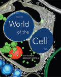 EBK BECKER'S WORLD OF THE CELL - 9th Edition - by Kleinsmith - ISBN 8220101471987