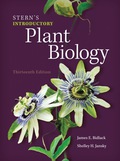 EBK STERN'S INTRODUCTORY PLANT BIOLOGY - 13th Edition - by BIDLACK - ISBN 8220102807891