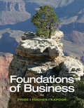 EBK FOUNDATIONS OF BUSINESS - 4th Edition - by Pride - ISBN 8220103435666
