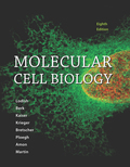 EBK MOLECULAR CELL BIOLOGY - 8th Edition - by LODISH - ISBN 8220103601887