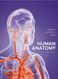 EBK HUMAN ANATOMY - 9th Edition - by Nath - ISBN 8220103631327