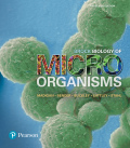 EBK BROCK BIOLOGY OF MICROORGANISMS - 15th Edition - by Stahl - ISBN 8220103633352
