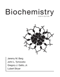 EBK BIOCHEMISTRY - 8th Edition - by BERG - ISBN 8220103647977