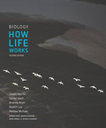 EBK BIOLOGY HOW LIFE WORKS - 2nd Edition - by Morris - ISBN 8220103648257