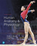 EBK HUMAN ANATOMY & PHYSIOLOGY - 11th Edition - by Hoehn - ISBN 8220106755242