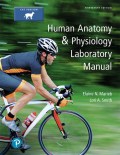 EBK HUMAN ANATOMY & PHYSIOLOGY LABORATO - 13th Edition - by SMITH - ISBN 8220106778524