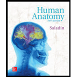 Human Anatomy - 5th Edition - by Kenneth S. Saladin Dr. - ISBN 9780073403700