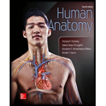 Human Anatomy - 4th Edition - by McKinley Dr., Michael; O'Loughlin, Valerie; Harris, Ronald T.; Pennefather-O'Brien, Elizabeth - ISBN 9780073525730