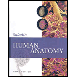 Human Anatomy - 3rd Edition - by Kenneth Saladin - ISBN 9780077349998