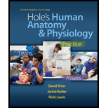 HOLE'S HUMAN ANATOMY+PHYS. (LOOSELEAF) - 13th Edition - by SHIER - ISBN 9780077491000
