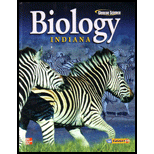 Glencoe Biology: Indiana Edition - 12th Edition - by Alton Biggs, Whitney Crispen Hagins, William G. Holliday, Chris L. Kapicka, Linda Lundgren - ISBN 9780078961588