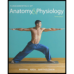 Fundamentals of Anatomy and Physiology - With CD Package
