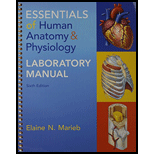 Essentials of Human Anatomy & Physiology & Laboratory Manual  with Pearson eText -- ValuePack
