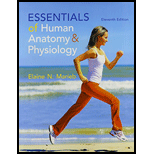 Essentials of Human Anatomy & Physiology & Modified Mastering A&P with Pearson eText w/ ValuePack Access Card 