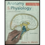 Essentials of Human Anatomy & Physiology (Looseleaf) - With Workbook