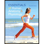 Essentials Of Human Anatomy and Physiology - With Access and CD