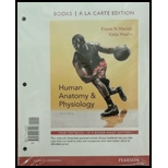 Human Anatomy & Physiology, Books a la Carte Edition - 10th Edition - by Elaine N. Marieb, Katja N. Hoehn - ISBN 9780133997040