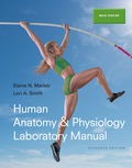 EBK HUMAN ANATOMY & PHYSIOLOGY LABORATO - 11th Edition - by SMITH - ISBN 9780133999143