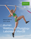 EBK HUMAN ANATOMY & PHYSIOLOGY LABORATO - 11th Edition - by SMITH - ISBN 9780134039305