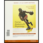 Human Anatomy & Physiology, Books a la Carte Edition, MasteringA&P with Pearson eText & ValuePack Access Card, InterActive Physiology 10-System Suite ... Brief Atlas of the Human Body (10th Edition) - 10th Edition - by Elaine N. Marieb, Katja N. Hoehn - ISBN 9780134087696