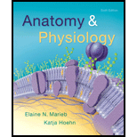 Anatomy & Physiology (6th Edition) - 6th Edition - by Elaine N. Marieb, Katja N. Hoehn - ISBN 9780134156415