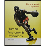 Human Anatomy & Physiology and Modified Mastering A&P with Pearson eText & ValuePack Access Card (10th Edition) - 10th Edition - by Elaine N. Marieb, Katja N. Hoehn - ISBN 9780134191133
