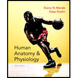 Human Anatomy & Physiology Plus Modified Mastering A&P with EText Access Card - 10th Edition - by Elaine N. Marieb, Katja N. Hoehn - ISBN 9780134191294