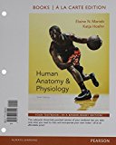 Human A&p Books A La Carte Edition; Human A&p Lab Manual, Cat Ver, Books A La Carte Edition; Modified Mastering A&p With Pearson Etext -- Vp Access ... Brief Atlas Of Human Body (10th Edition) - 10th Edition - by Elaine N. Marieb, Katja N. Hoehn - ISBN 9780134195988