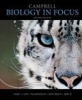 Campbell Biology In Focus - 2nd Edition - by Lisa A. Urry, Michael L. Cain, Steven A. Wasserman, Peter V. Minorsky, Jane B. Reece - ISBN 9780134203072