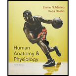 Human Anatomy and Physiology (Package) (Complete) - 10th Edition - by Marieb - ISBN 9780134213408