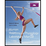 Human Anatomy and Physiology (Comp.) - Package - 10th Edition - by Marieb - ISBN 9780134225999