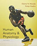 Human Anatomy & Physiology, Mastering A&P with Pearson eText & ValuePack Access Card, Brief Atlas of the Human Body, and Get Ready for A&P (10th Edition) - 10th Edition - by Elaine N. Marieb, Katja N. Hoehn - ISBN 9780134238371