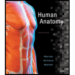 Human Anatomy (8th Edition) - 8th Edition - by Elaine N. Marieb, Patricia Brady Wilhelm, Jon B. Mallatt - ISBN 9780134243818