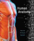 EBK HUMAN ANATOMY - 8th Edition - by Mallatt - ISBN 9780134283296