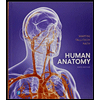 Human Anatomy (9th Edition)
